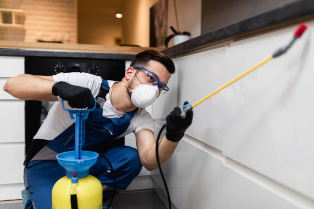 Trusted Vienna, IL Pest Control Experts