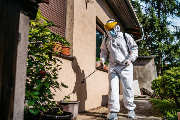 Best Best Pest Control Companies  in Vienna, IL
