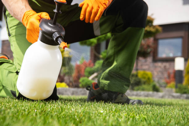 Best Pest Prevention Services  in Vienna, IL