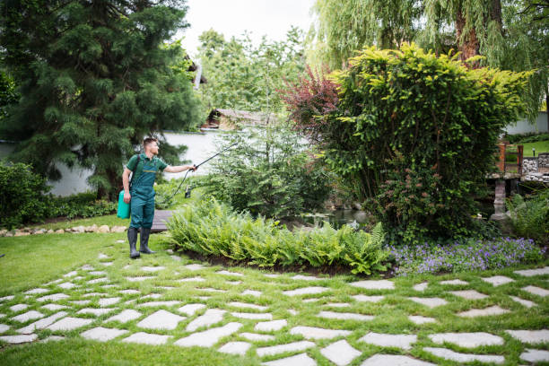 Best Wasp Removal Services  in Vienna, IL