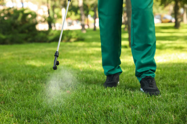 Trusted Vienna, IL Pest Control Experts
