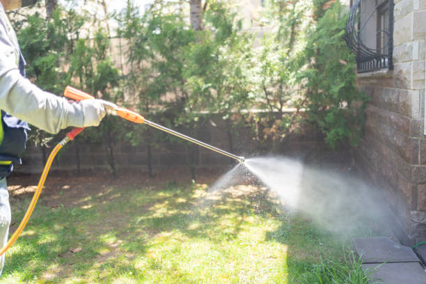 Best Affordable Pest Control Services  in Vienna, IL