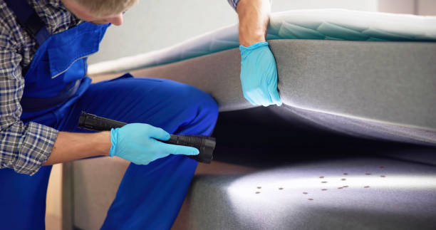 Best Ant Control Services  in Vienna, IL