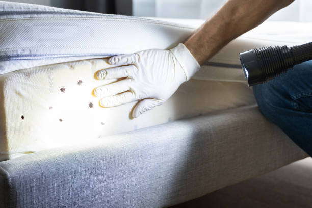 Best Residential Pest Control  in Vienna, IL