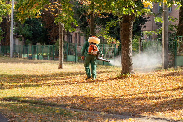 Best Spider Control Near Me  in Vienna, IL