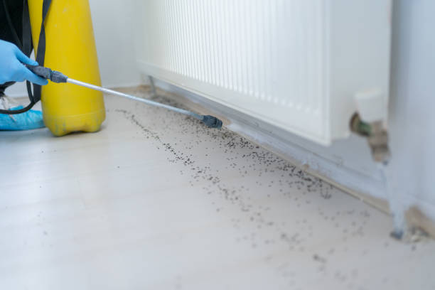 Pest Control Cost in Vienna, IL
