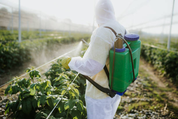 Best Flea Control Services  in Vienna, IL